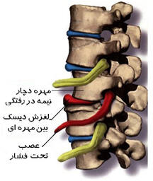 دکتر غلامرضا رئيسی و دکتر طناز و دکتر غلامرضا رئيسی و دکتر طناز و